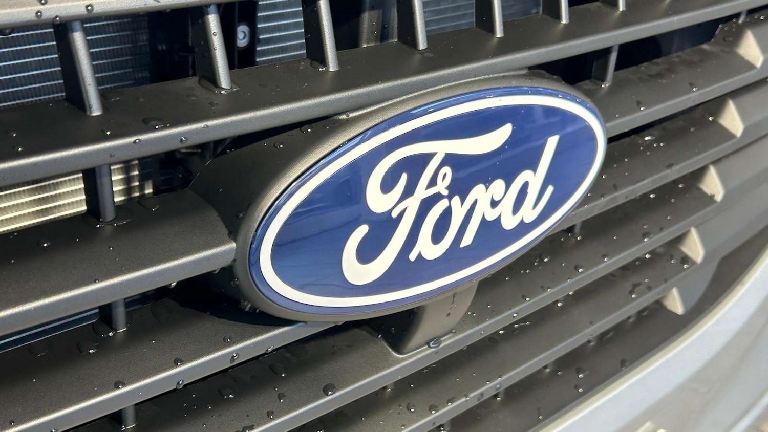 Used Ford Transit Custom for sale - 76915993: Photo 25