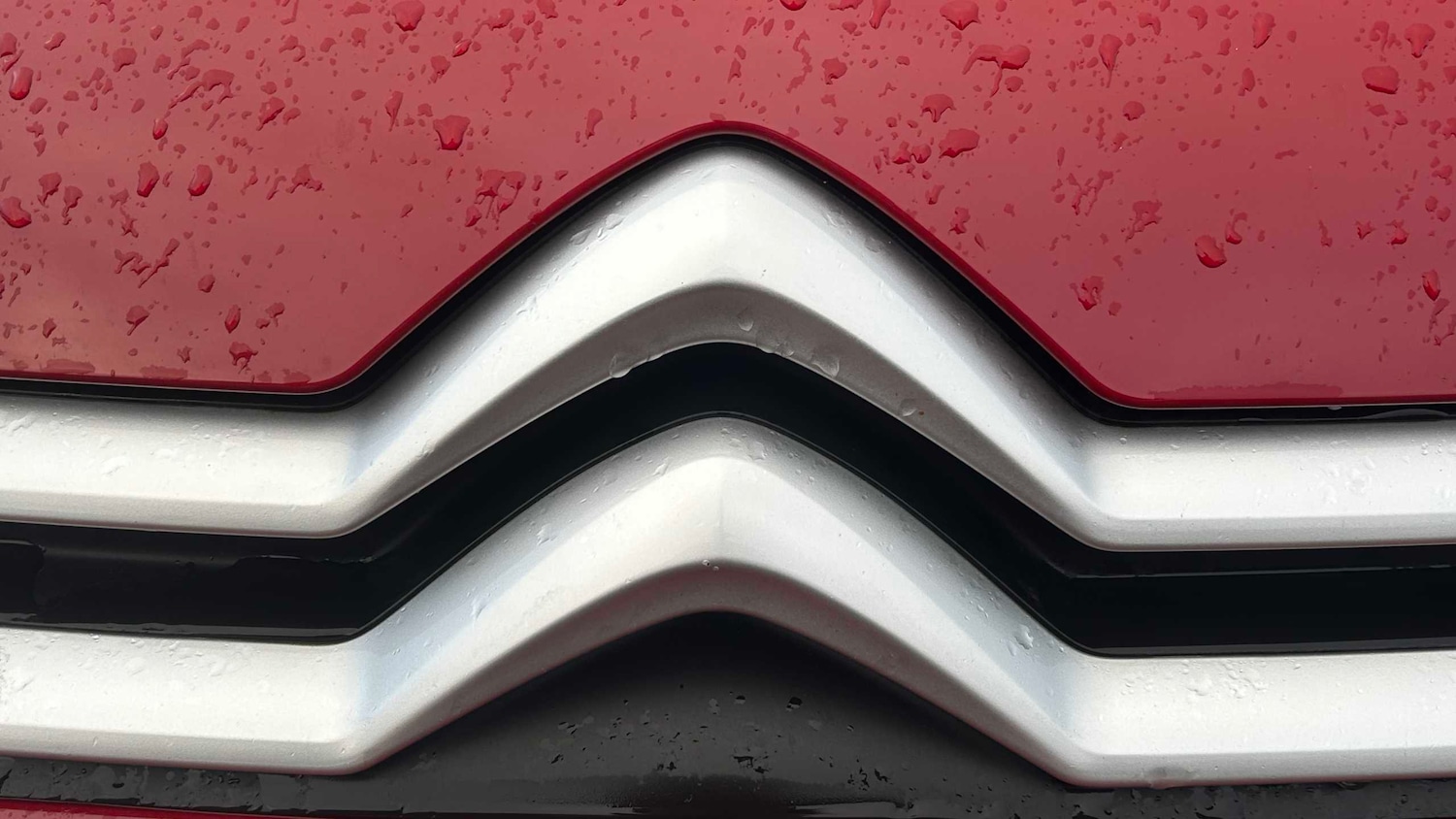 Used Citroen Dispatch 2019 for sale - 76902262: Photo 6