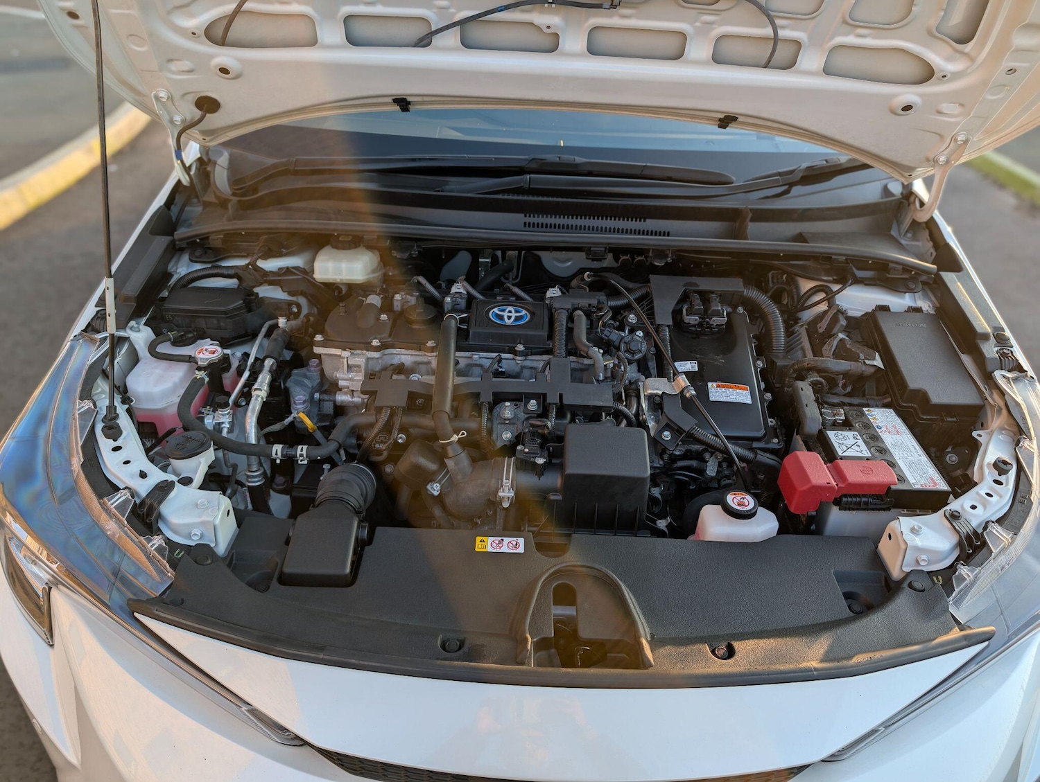 Used Toyota Corolla for sale - 77783348: Photo 29