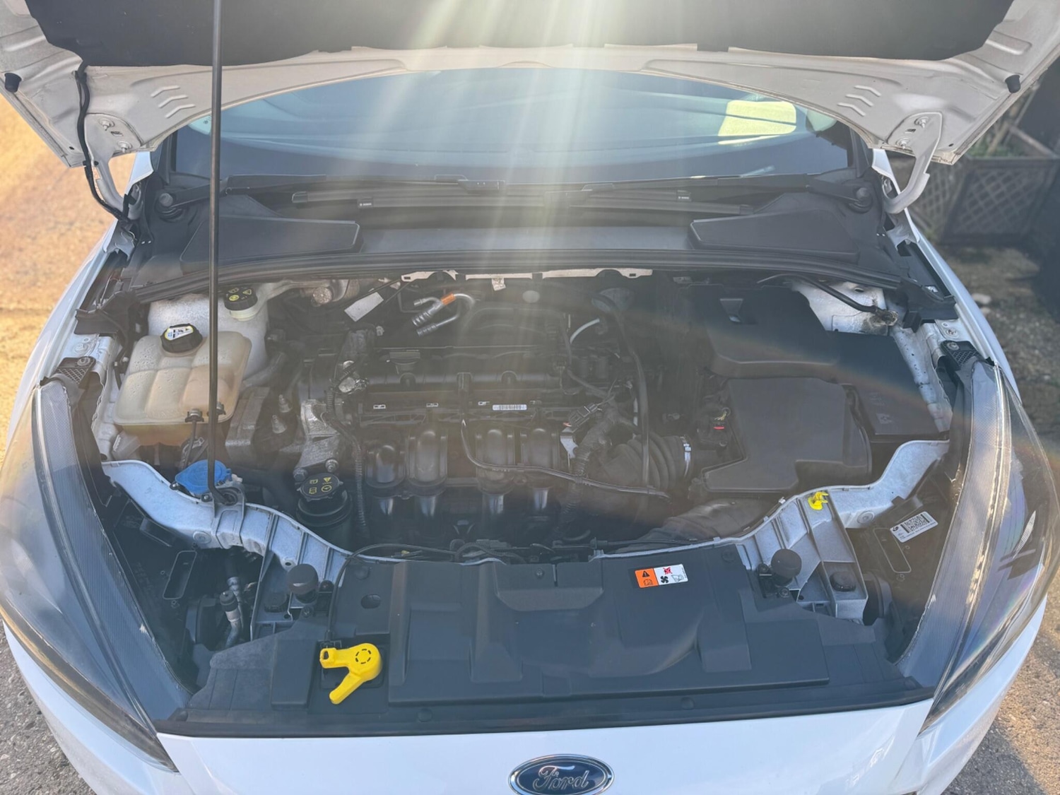 Used Ford Focus 2016 for sale - 77202540: Photo 24