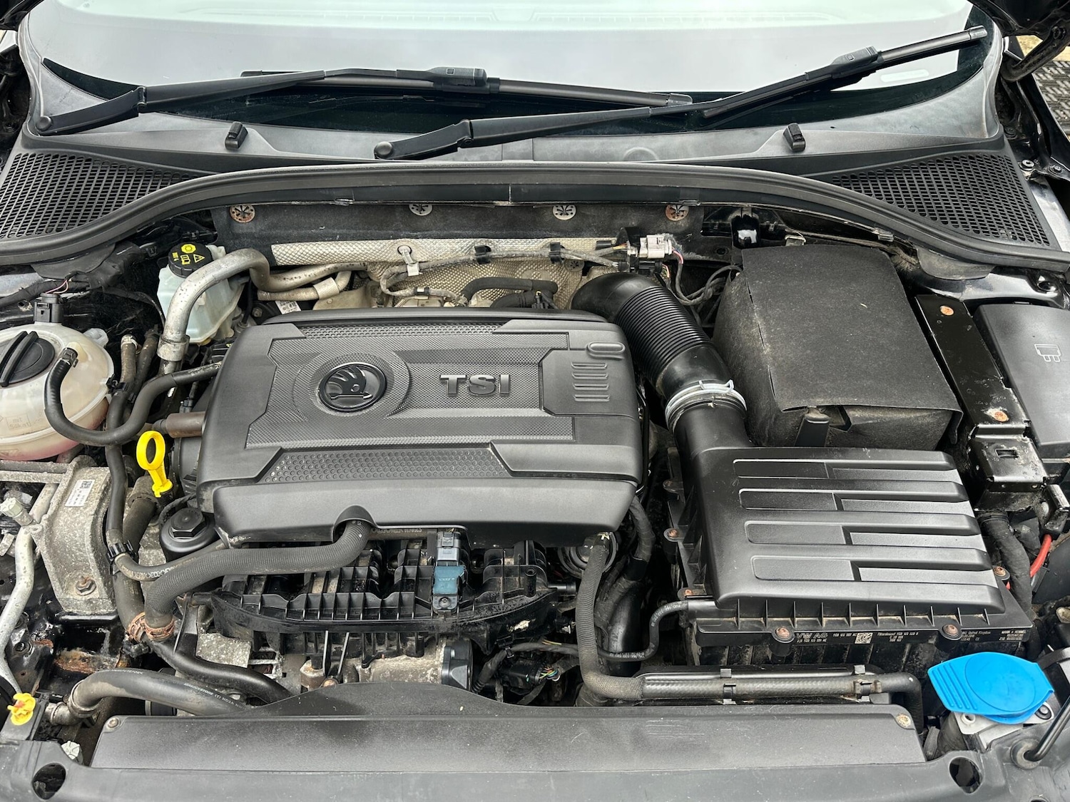 Used Skoda Octavia 2016 for sale - 77564785: Photo 32