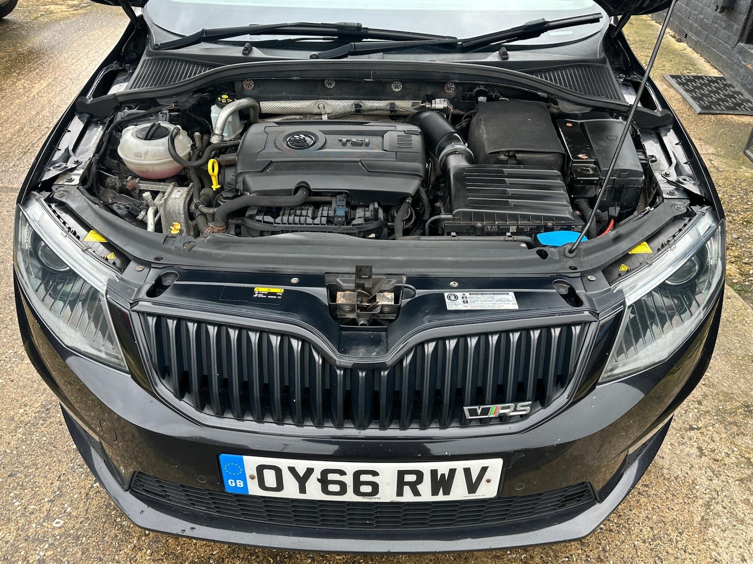 Used Skoda Octavia 2016 for sale - 77564785: Photo 33