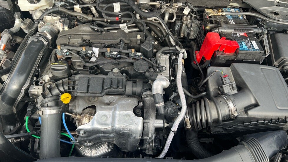 Used Ford Kuga 2021 for sale - 76248609: Photo 16