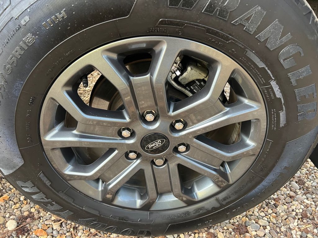 Used Ford Ranger 2024 for sale - 76927594: Photo 42