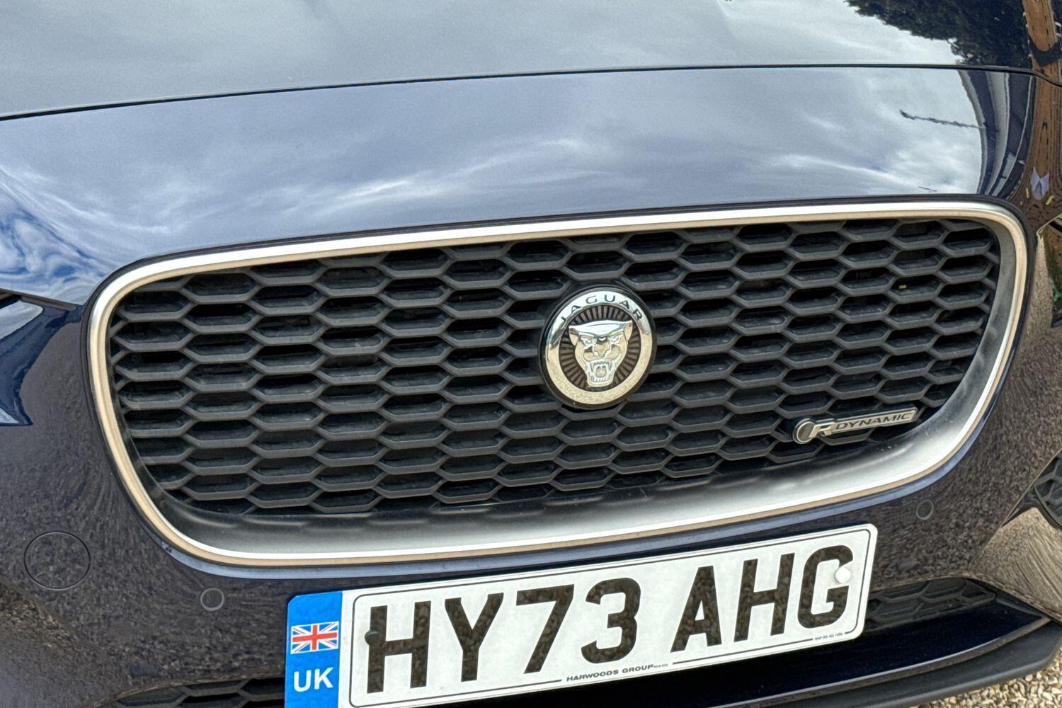 Vehicle 44