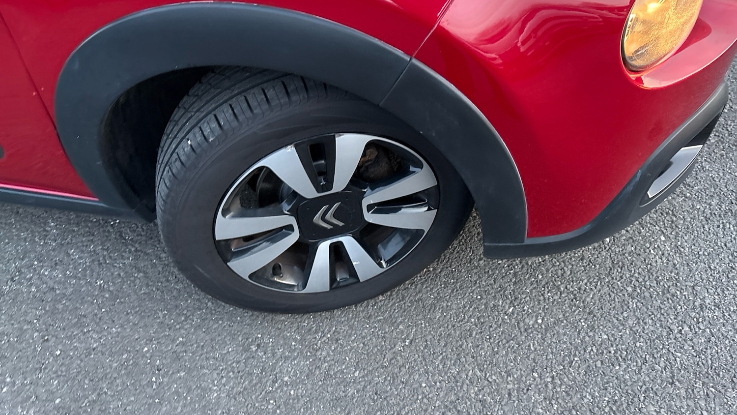 Used Citroen C3 2017 for sale - 77217681: Photo 42