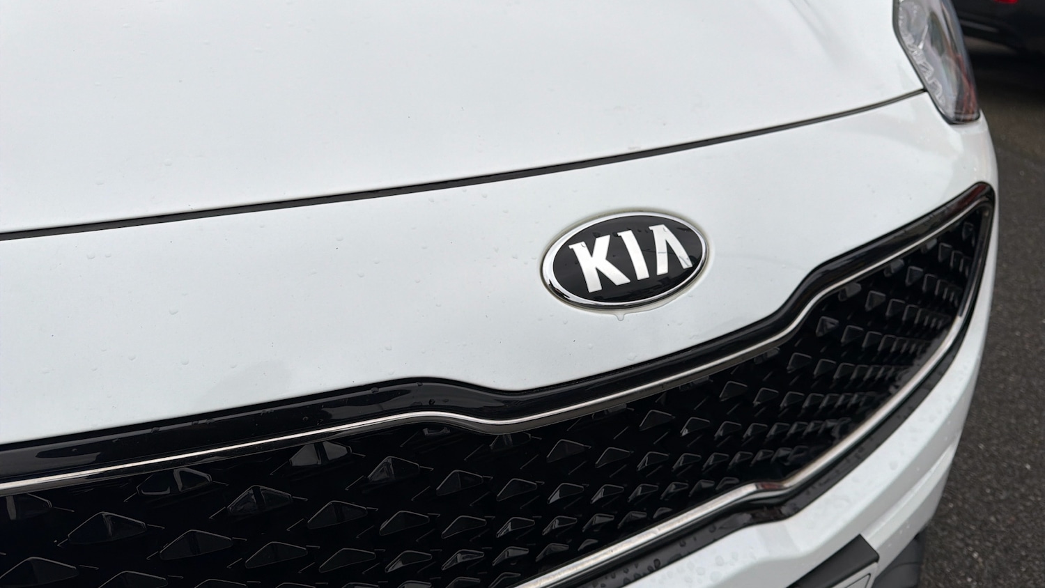 Used Kia Sportage 2017 for sale - 77297038: Photo 8