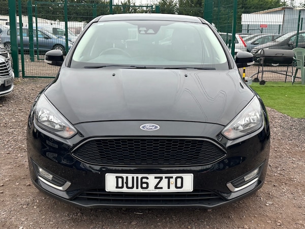 Used Ford Focus 2016 for sale - 76302597: Photo 5