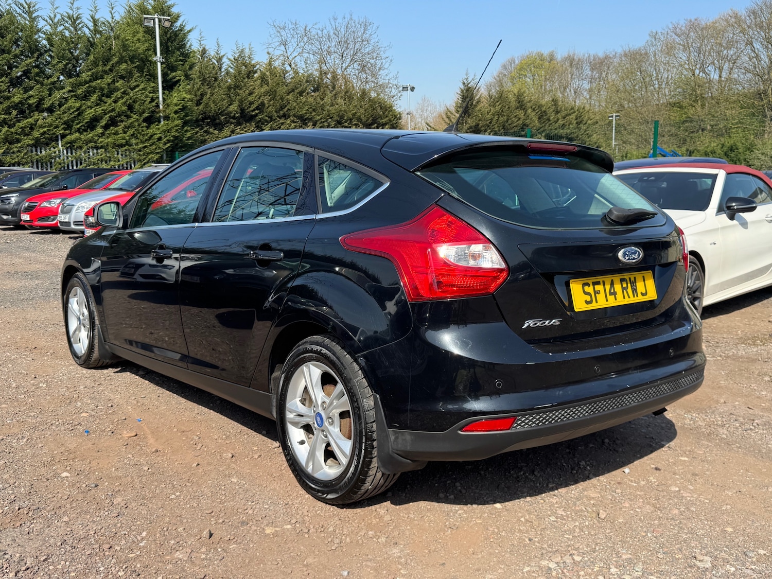 Used Ford Focus 2014 for sale - 78163191: Photo 3