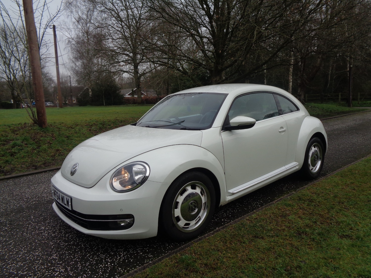 Used Volkswagen Beetle 2014 for sale - 77403685: Photo 2