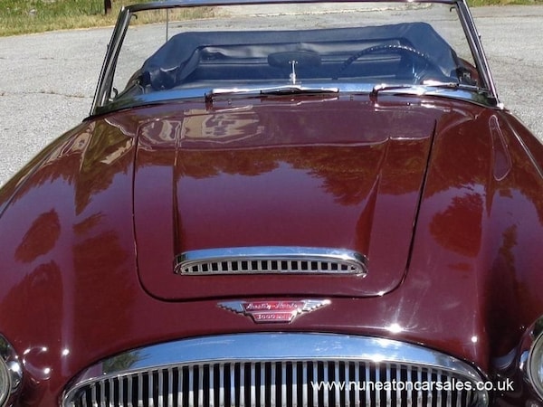 Used Austin Healey 2017 for sale - 70910436: Photo 11