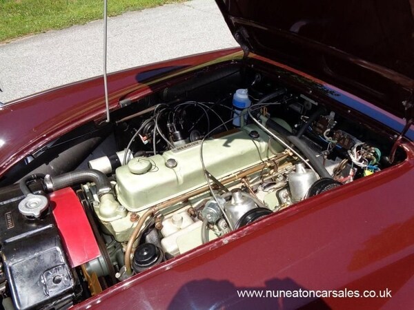 Used Austin Healey 2017 for sale - 70910436: Photo 28