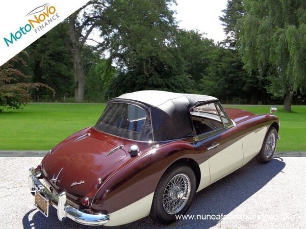 Used Austin Healey 2017 for sale - 70910436: Photo 8