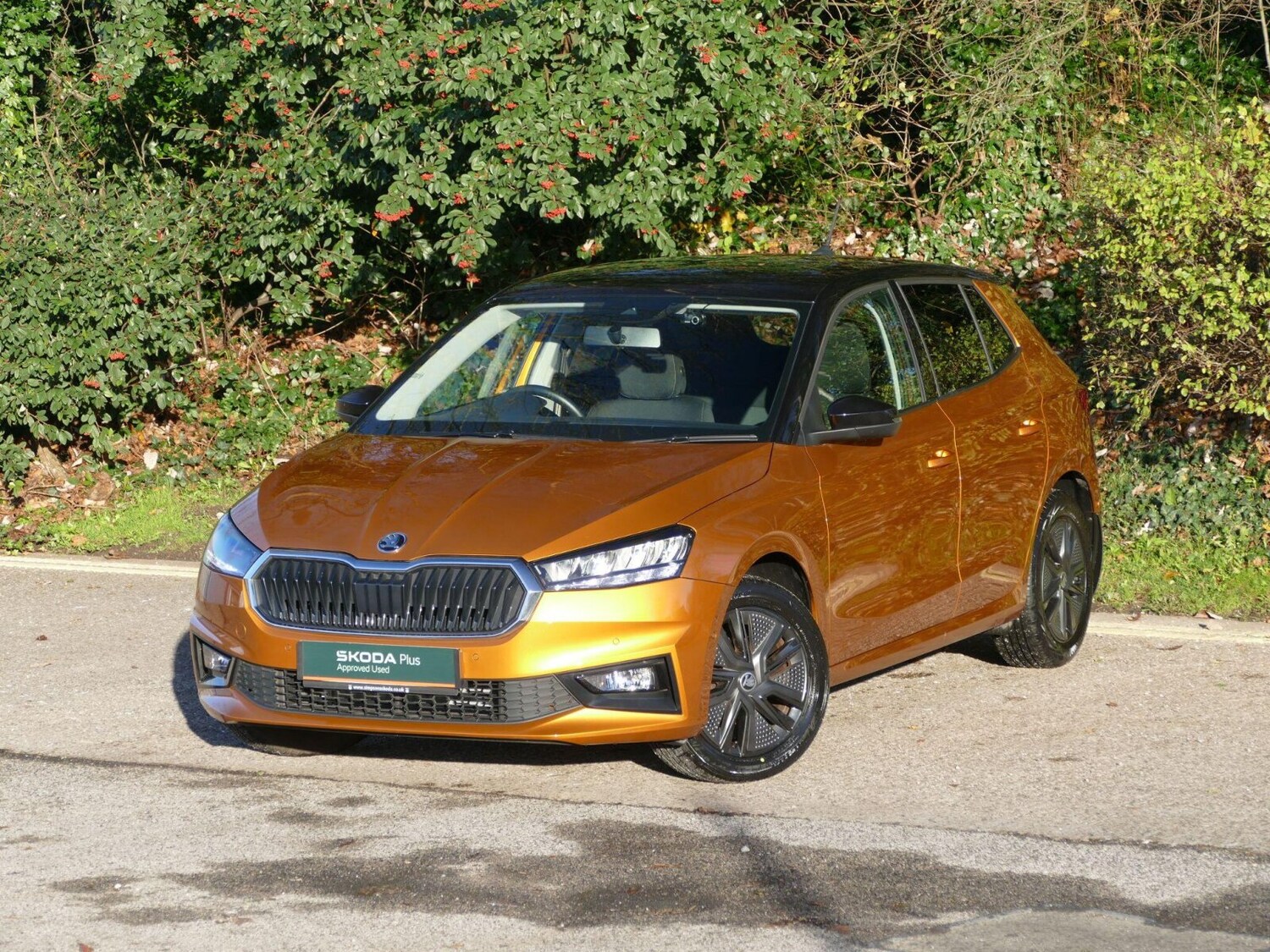 Used Skoda Fabia 2022 for sale - 76674283: Photo 15