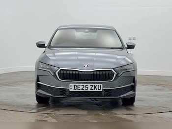 Used Skoda Octavia 2025 for sale - 77647623: Photo