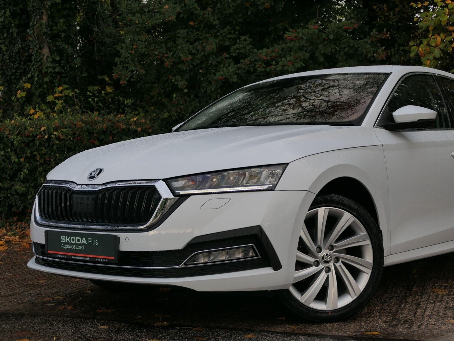 Used Skoda Octavia 2022 for sale - 76389917: Photo 16