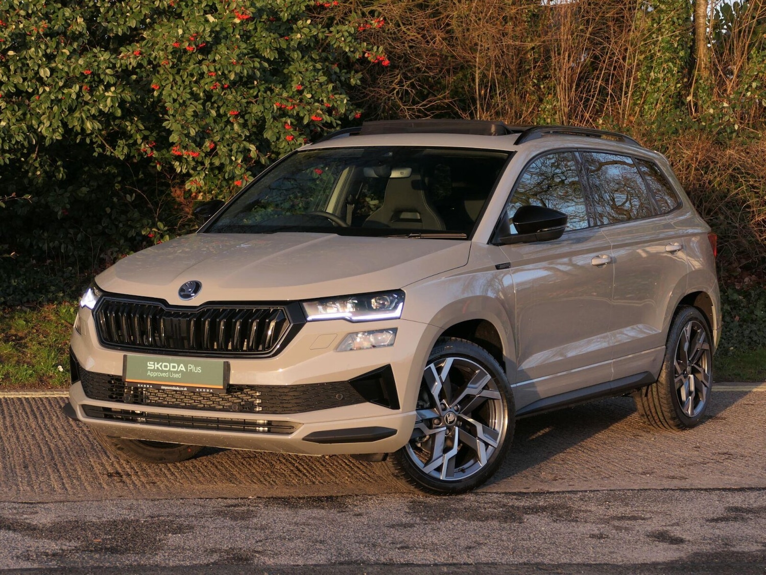 Used Skoda Karoq 2025 for sale - 77763388: Photo 14