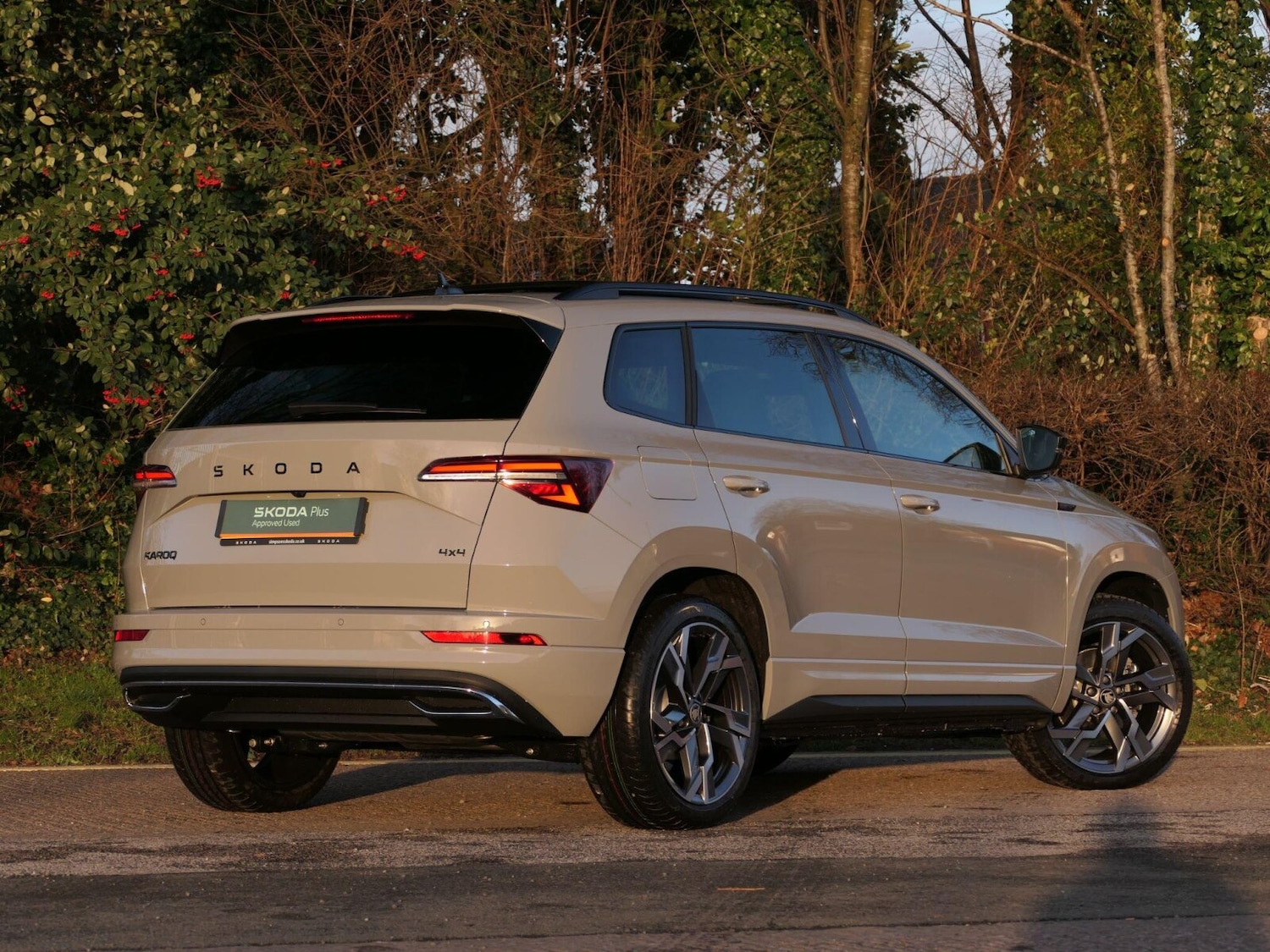 Used Skoda Karoq 2025 for sale - 77763388: Photo 25