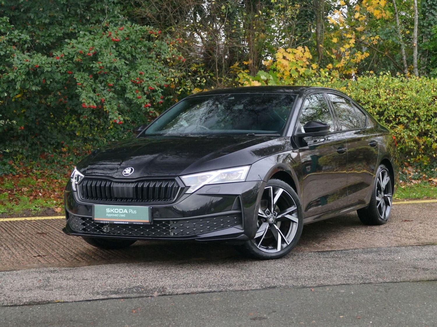 Used Skoda Octavia 2025 for sale - 76679330: Photo 19