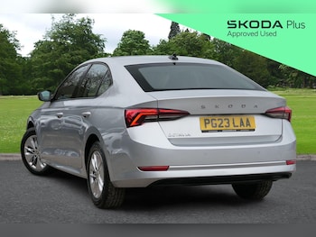Used Skoda Octavia 2023 for sale - 77819506: Photo