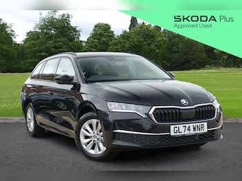 Used Skoda Octavia 2024 for sale - 77542070: Photo