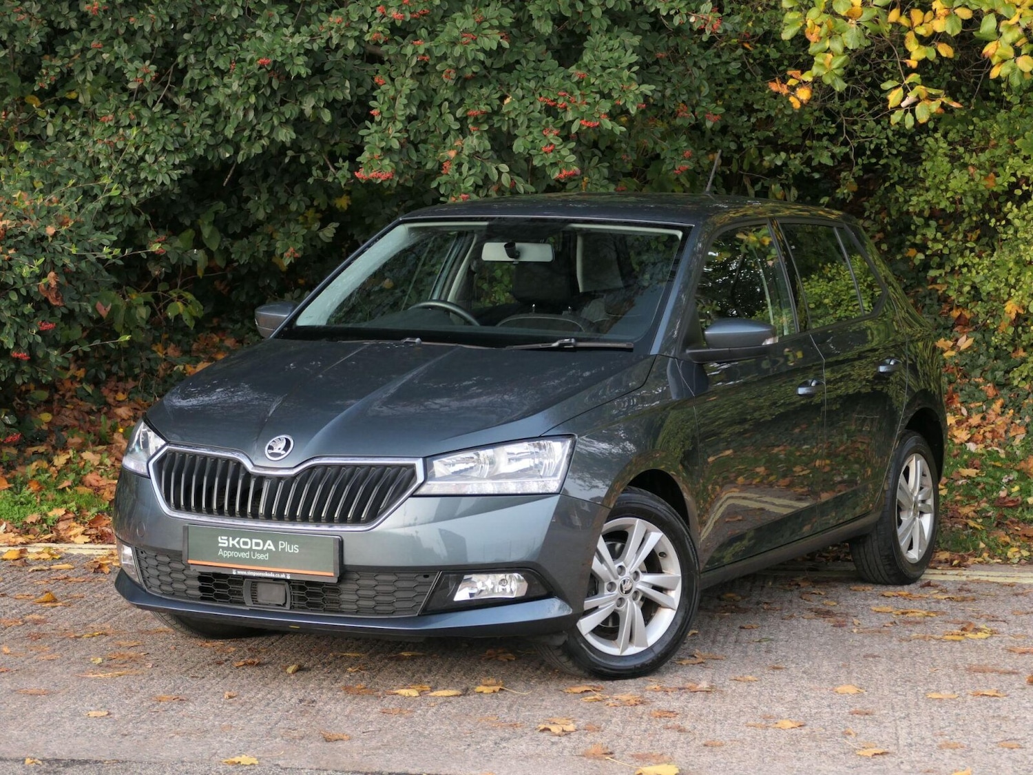 Used Skoda Fabia 2018 for sale - 76366282: Photo 19
