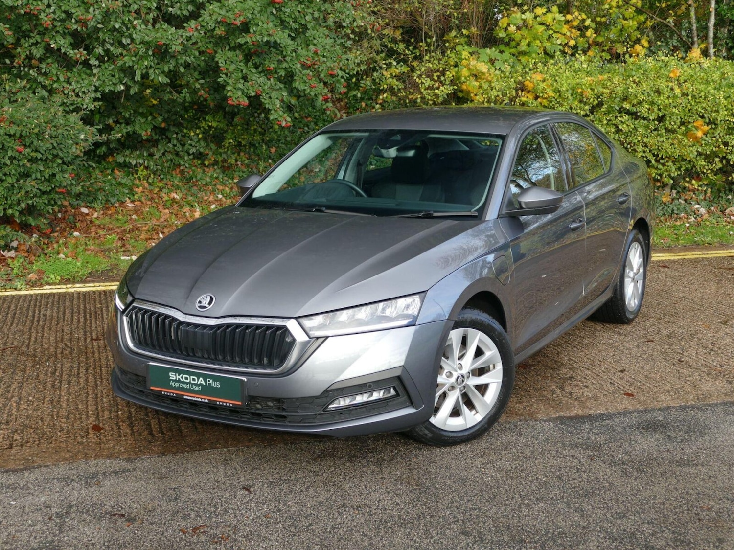 Used Skoda Octavia 2024 for sale - 76678473: Photo 17