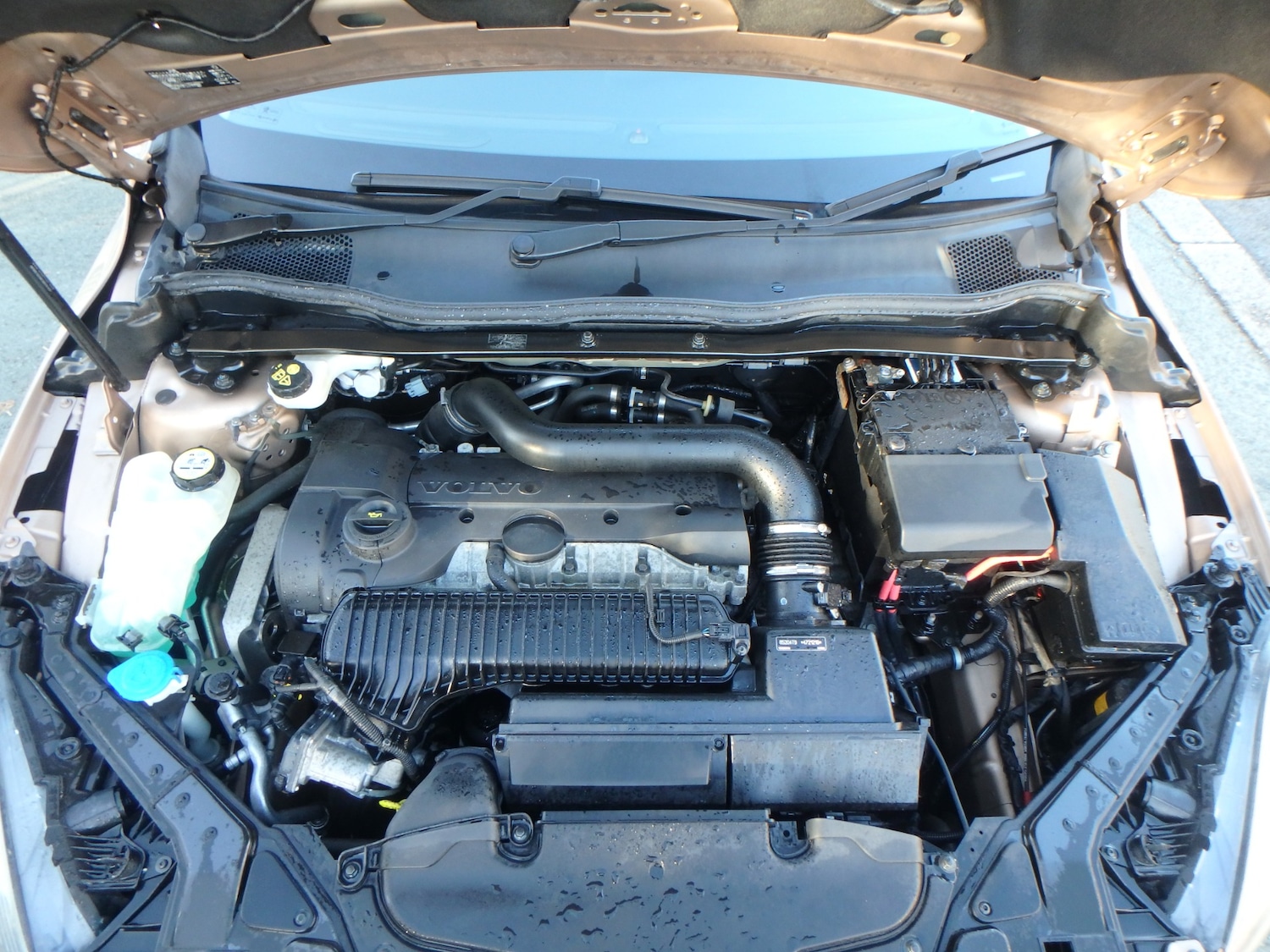 Used Volvo V40 Cross Country 2025 for sale - 76627112: Photo 26