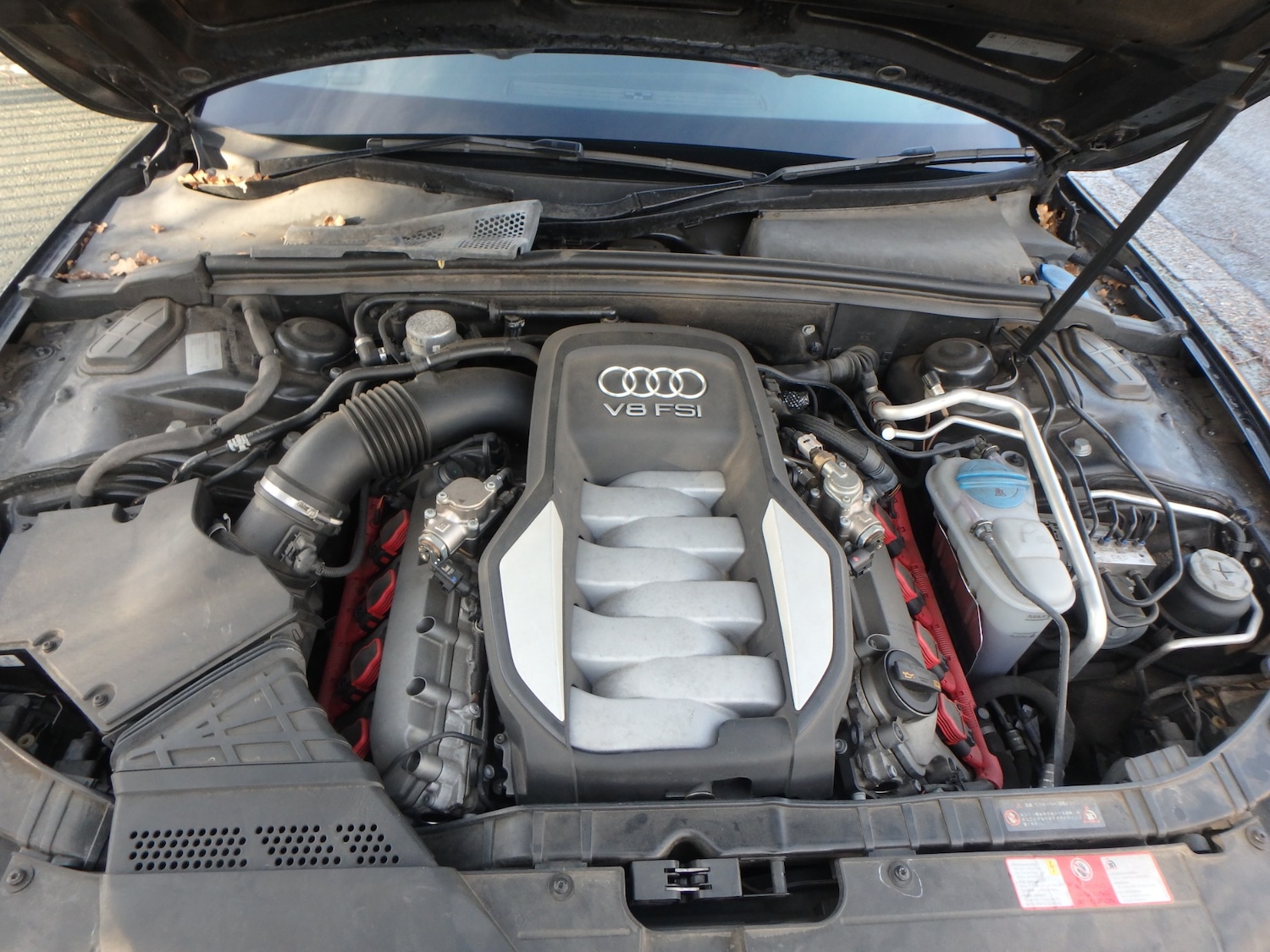 Used Audi S5 2025 for sale - 76969641: Photo 30