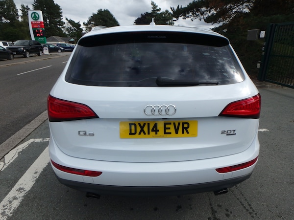 Used Audi Q5 2025 for sale - 76045886: Photo 6