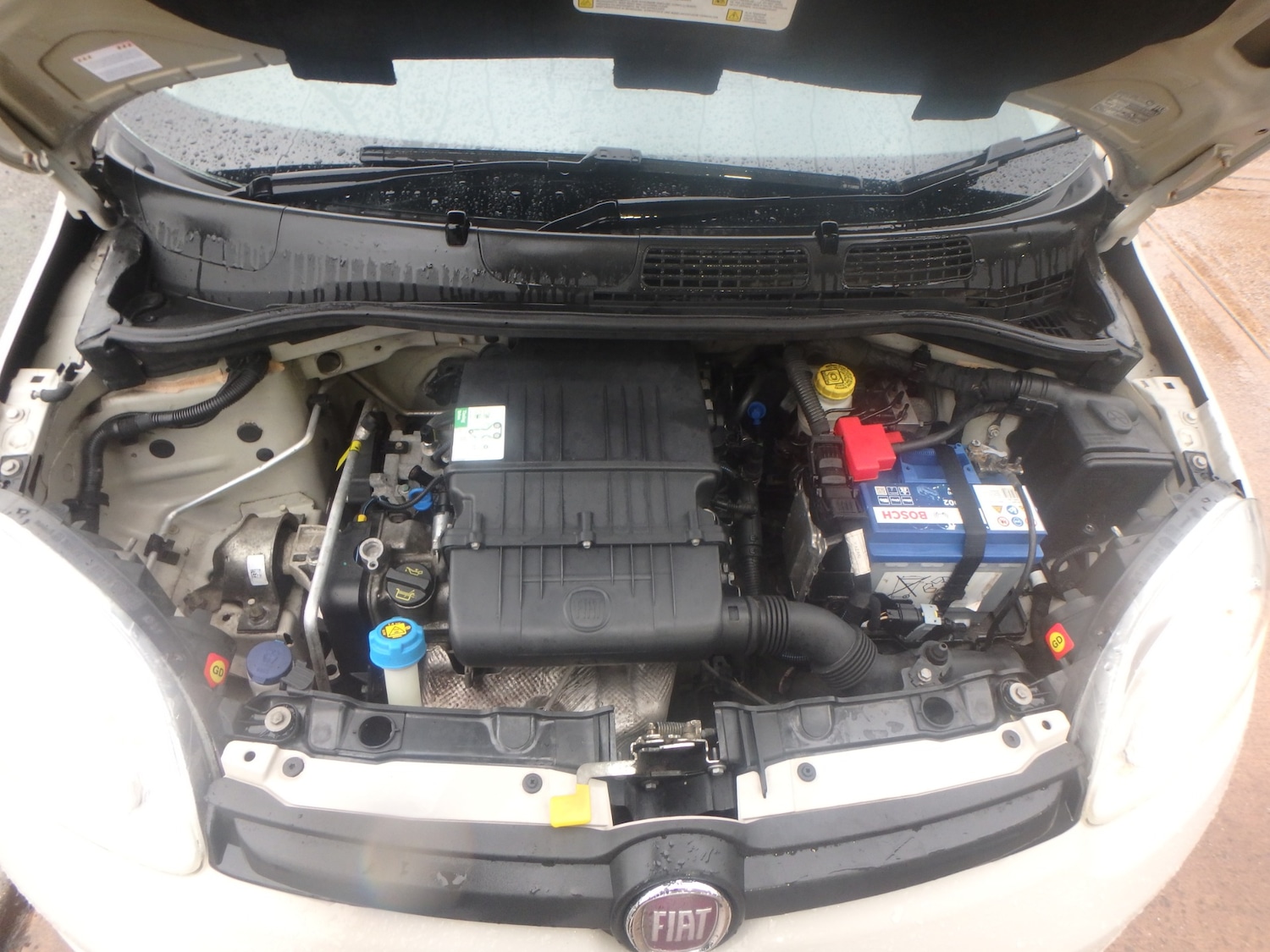 Used Fiat Panda 2014 for sale - 77296611: Photo 20