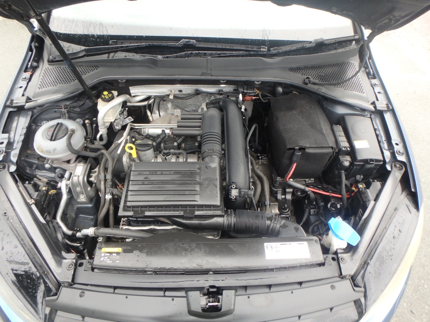 Used Volkswagen Golf 2025 for sale - 77420280: Photo 28