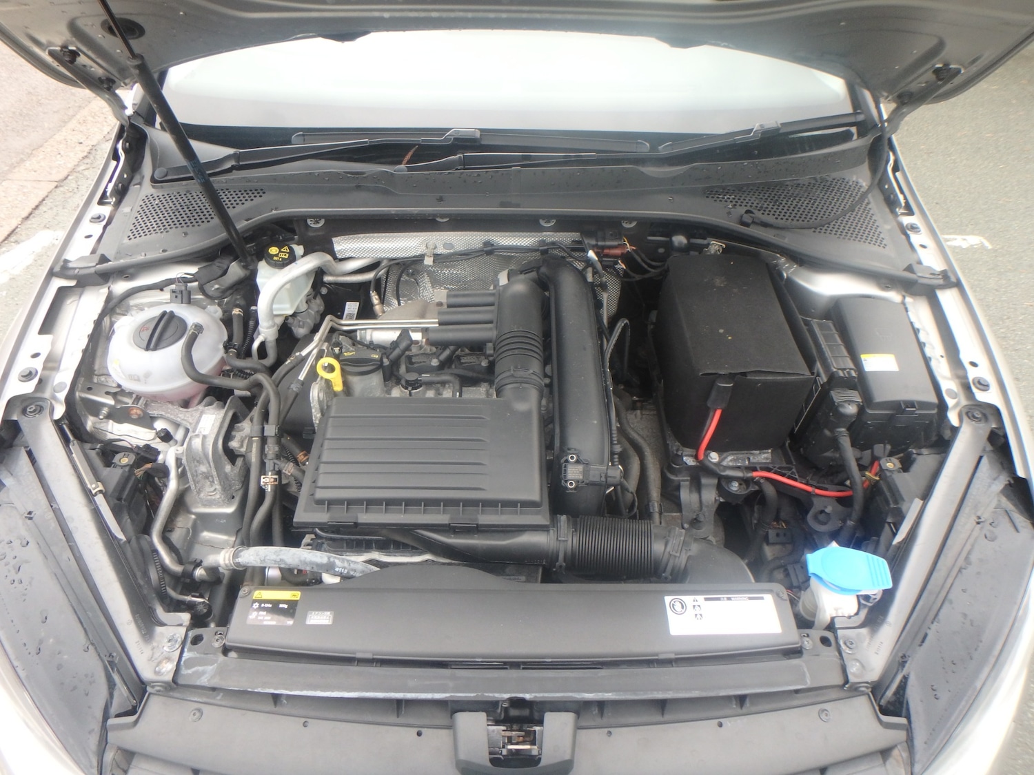 Used Volkswagen Golf 2026 for sale - 77258521: Photo 21