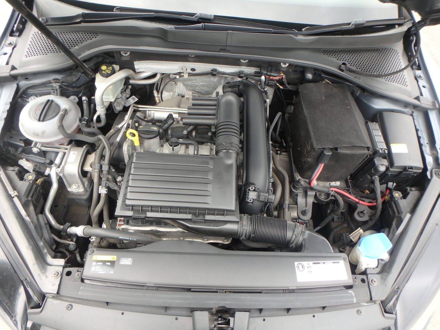 Used Volkswagen Golf 2025 for sale - 76193441: Photo 26