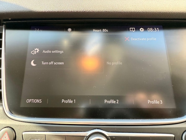 Used Vauxhall Grandland X 2019 for sale - 75186911: Photo 19