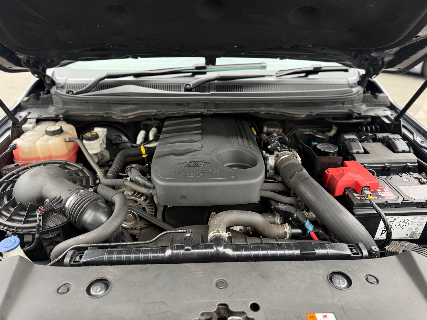 Used Ford Ranger 2018 for sale - 76231869: Photo 11