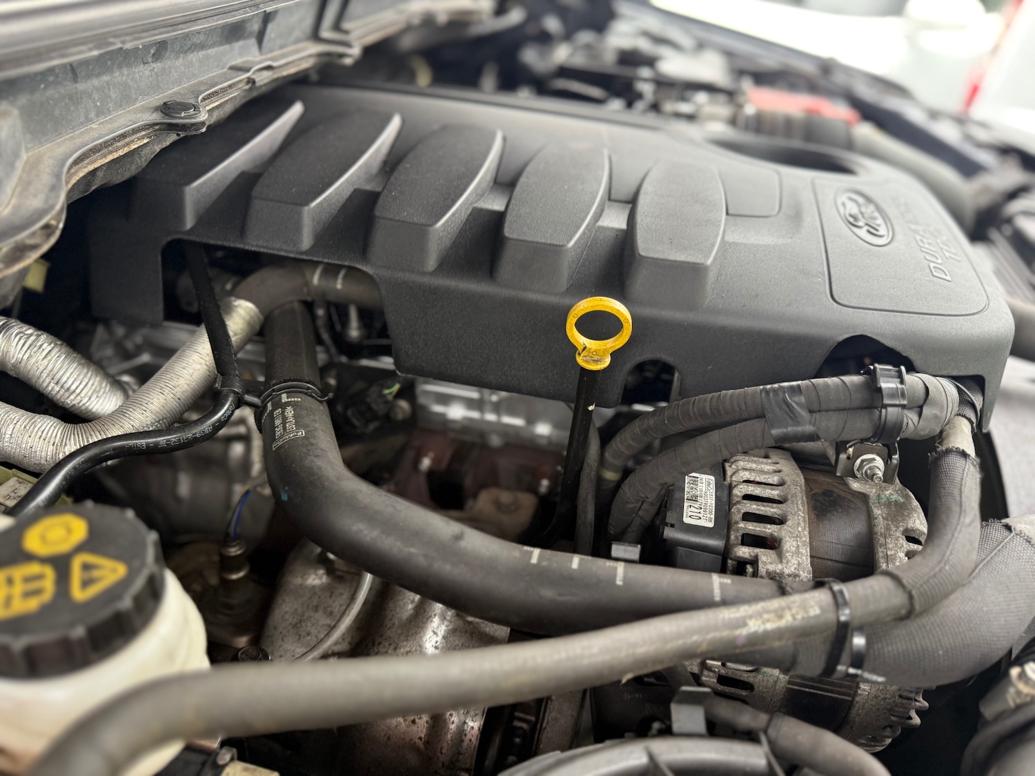 Used Ford Ranger 2018 for sale - 76231869: Photo 12