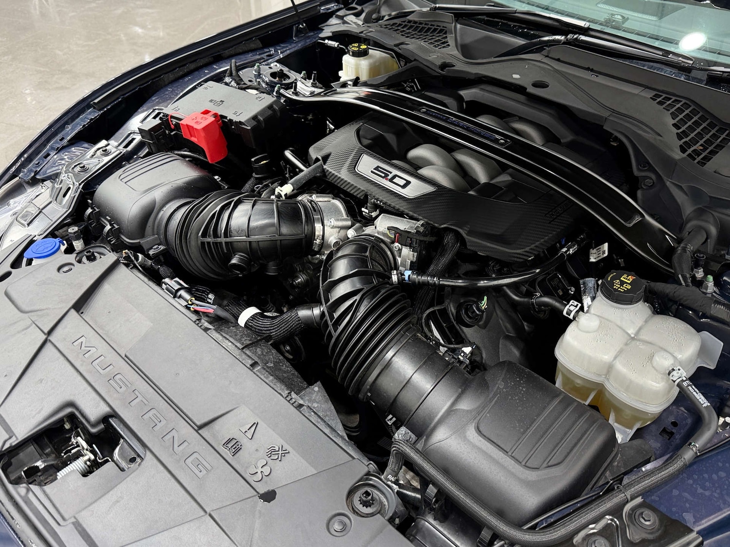 Used Ford Mustang 2025 for sale - 77833872: Photo 37