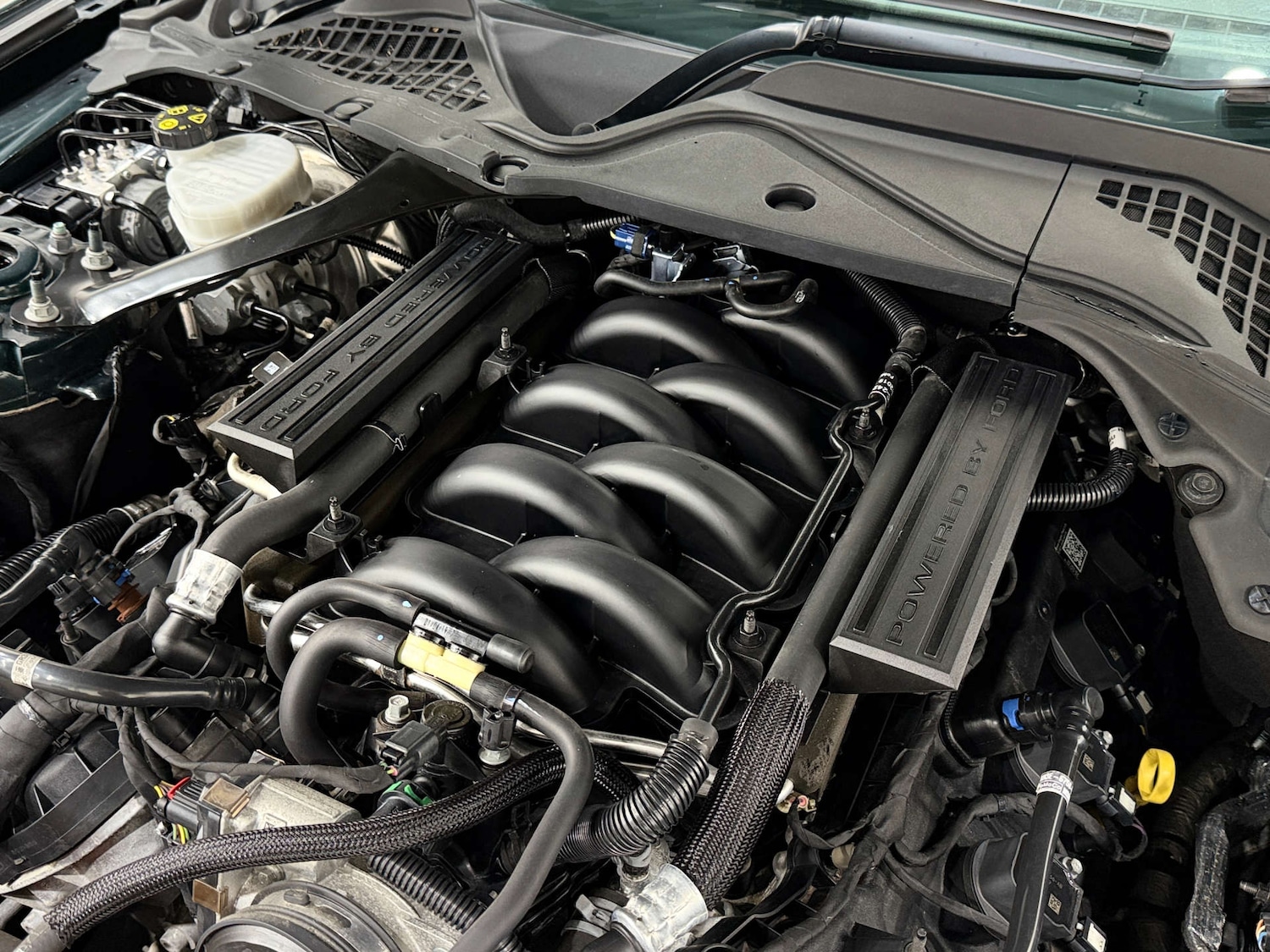 Used Ford Mustang 2020 for sale - 76404365: Photo 39