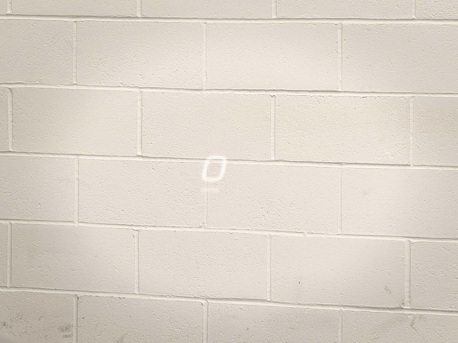 Used Maserati Other 2023 for sale - 78011917: Photo 41