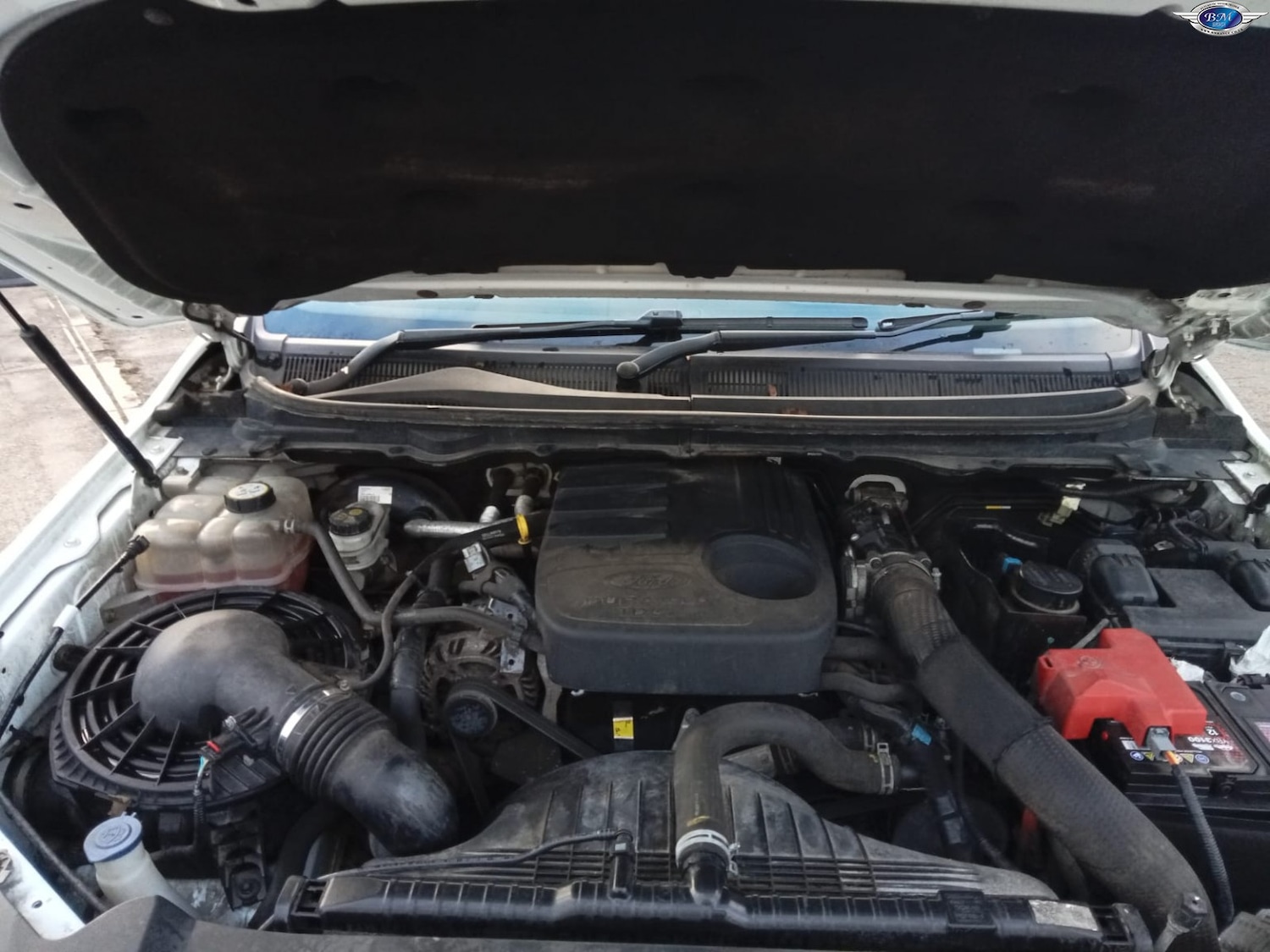 Used Ford Ranger 2017 for sale - 77045389: Photo 18