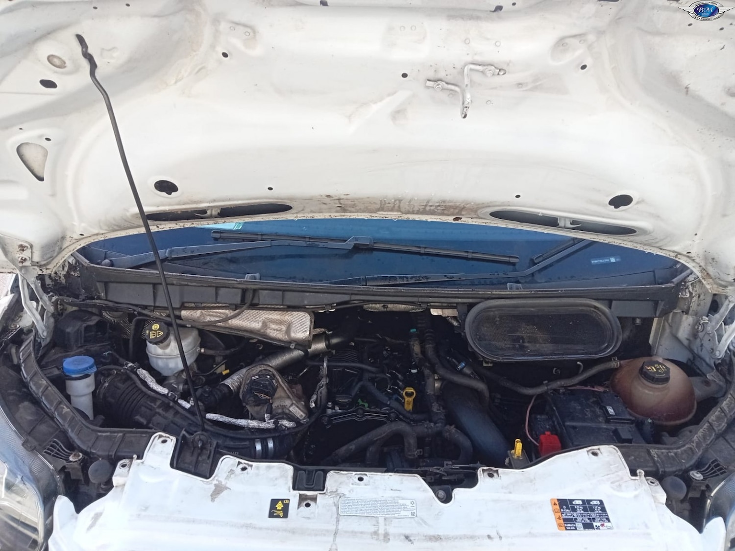 Used Ford Transit 2020 for sale - 76799266: Photo 17