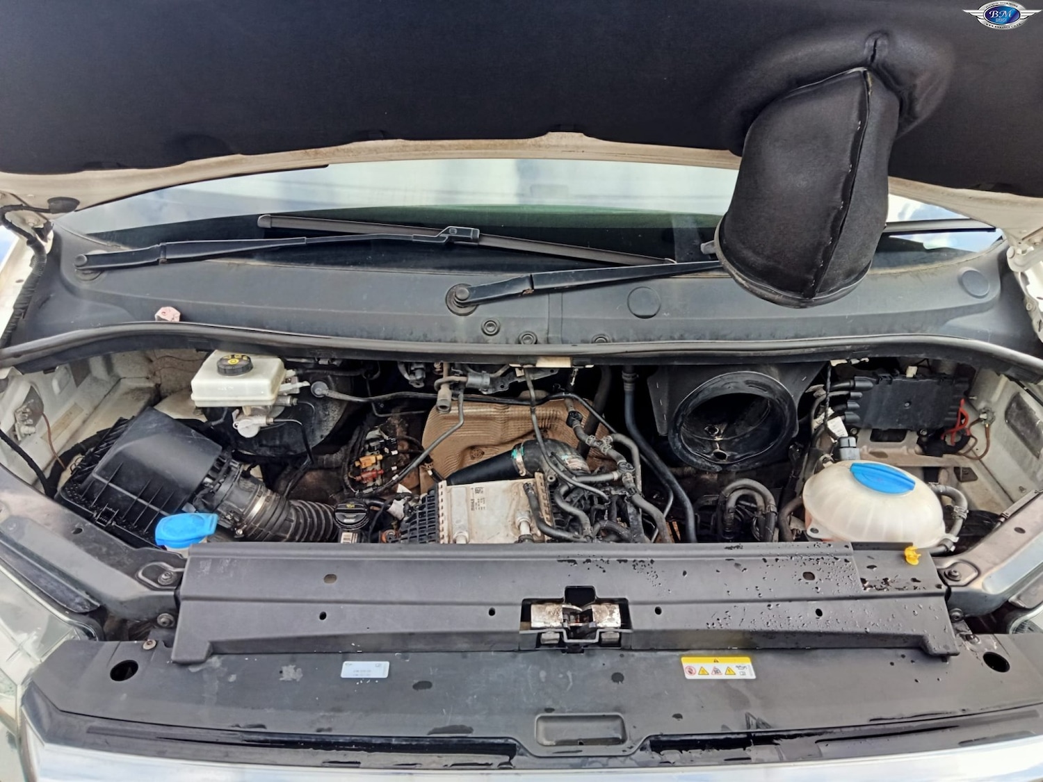 Used MAN TGE 2020 for sale - 77707329: Photo 18