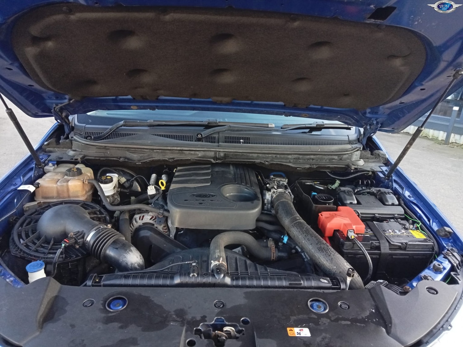 Used Ford Ranger 2016 for sale - 78121536: Photo 20