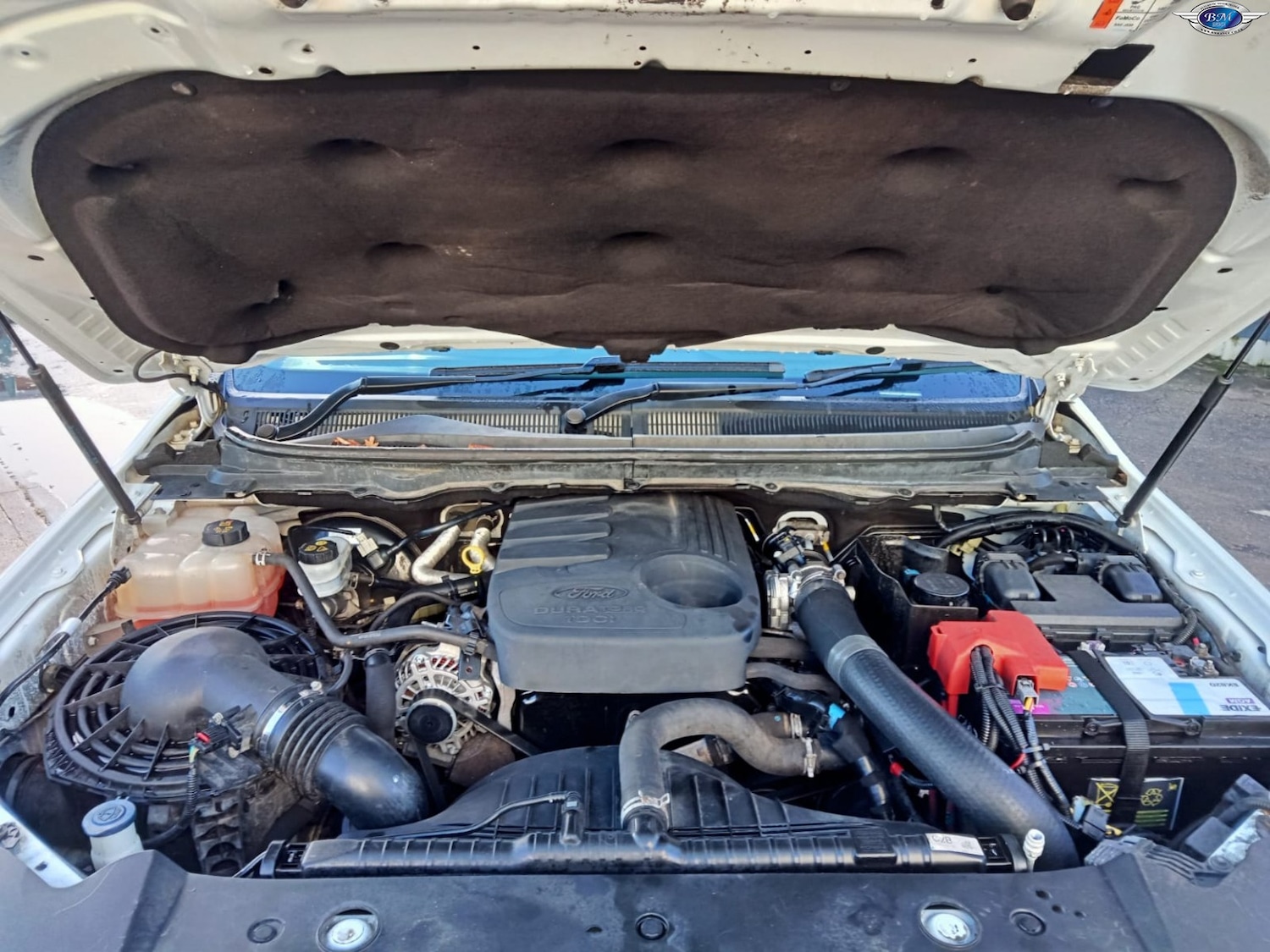 Used Ford Ranger 2018 for sale - 76982774: Photo 18