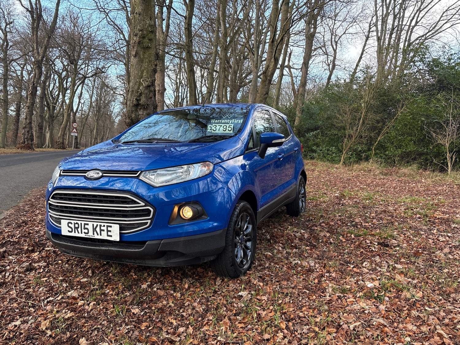 Used Ford Ecosport 2015 for sale - 77062069: Photo 1