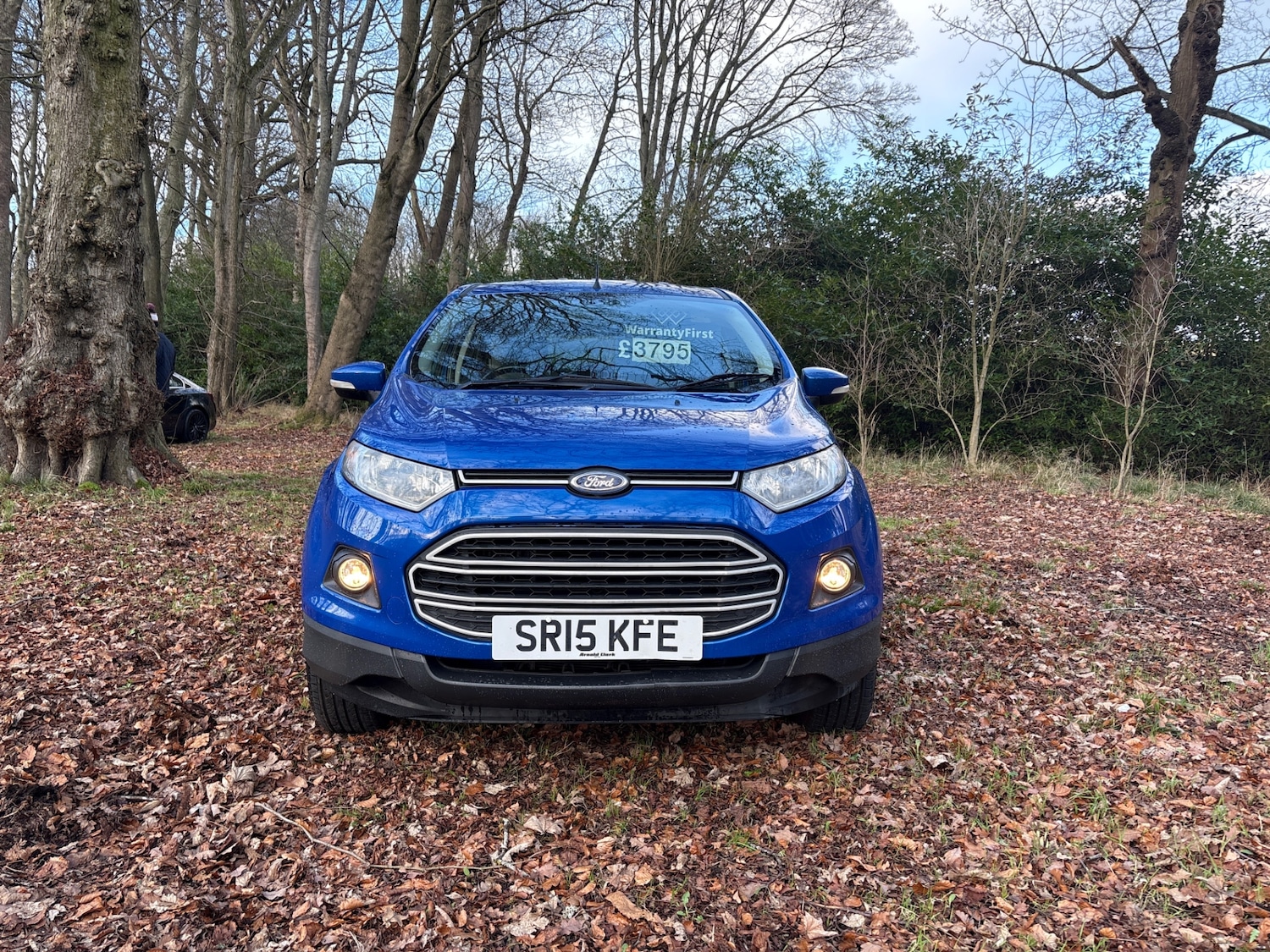 Used Ford Ecosport 2015 for sale - 77062069: Photo 2
