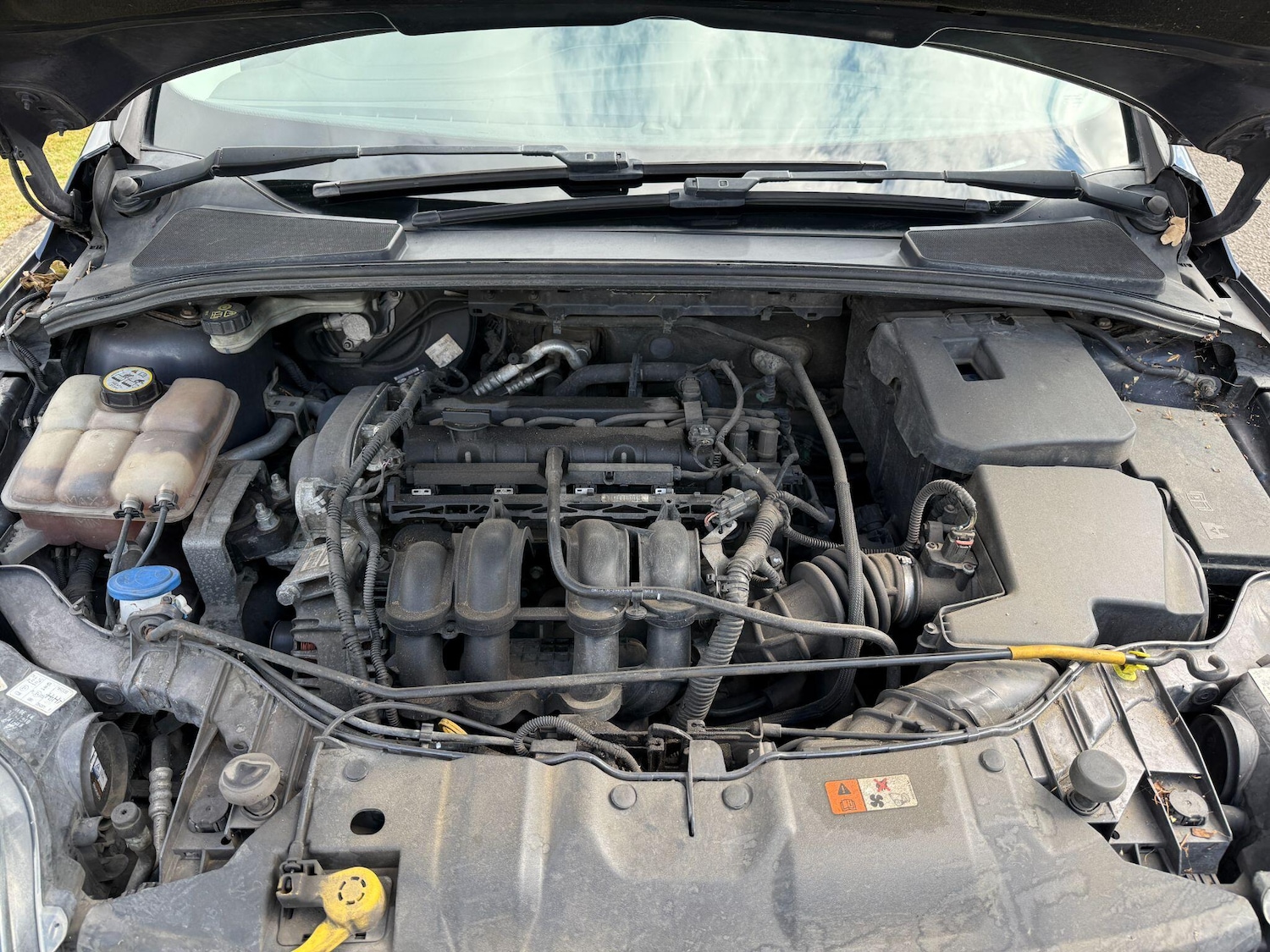 Vehicle 31