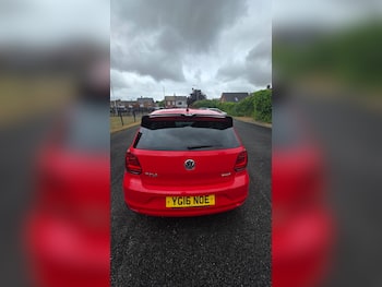Used Volkswagen Polo 2016 for sale - 79679838: Photo