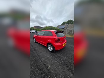 Used Volkswagen Polo 2016 for sale - 79679838: Photo